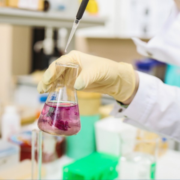 ph777 casino register